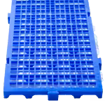 DSC_8302-removebg-preview.png