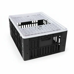 gaiola de plastico